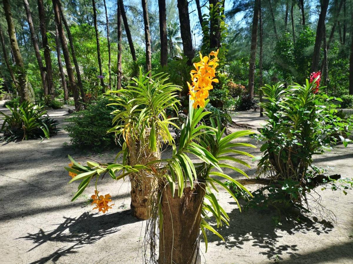 Hapla Beach Cottage Koh Kho Khao Island Esterno foto